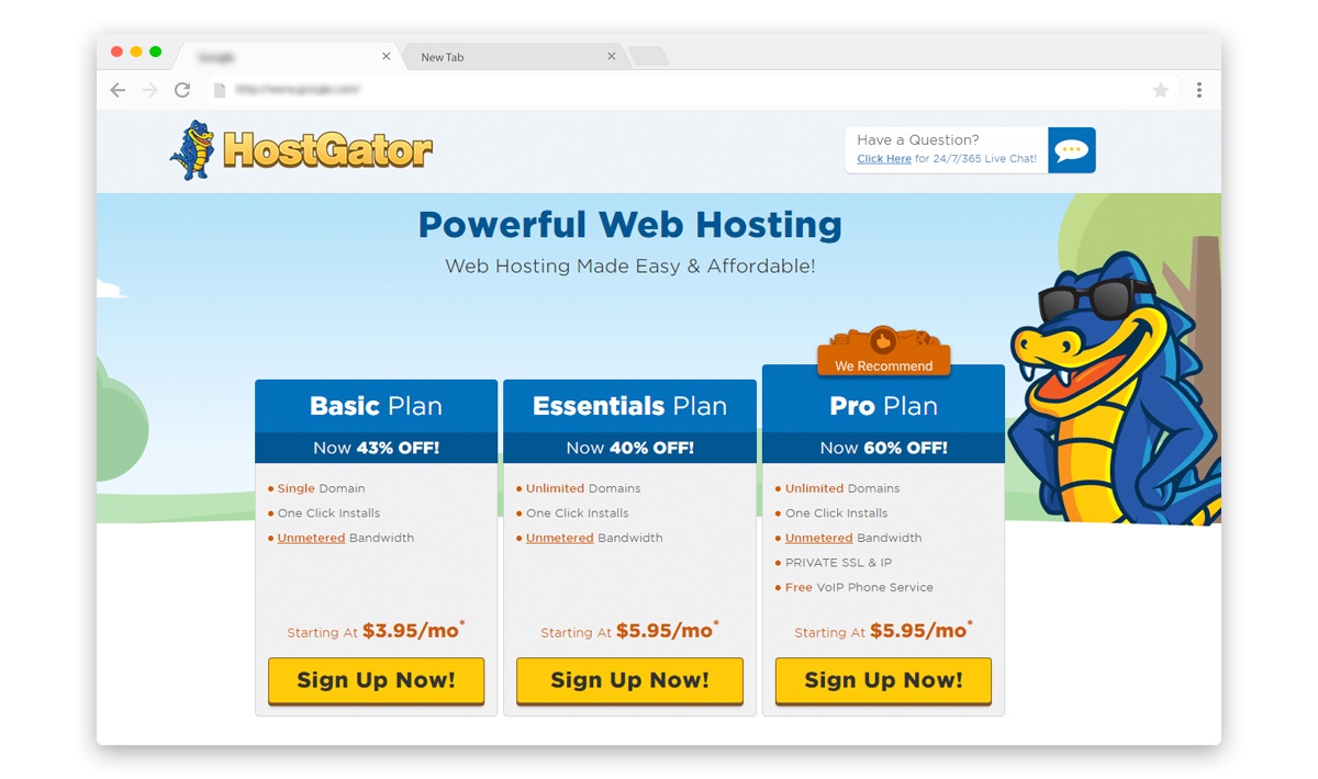Hostgator web hosting plans and packages Hostgator web hosting plans and packages